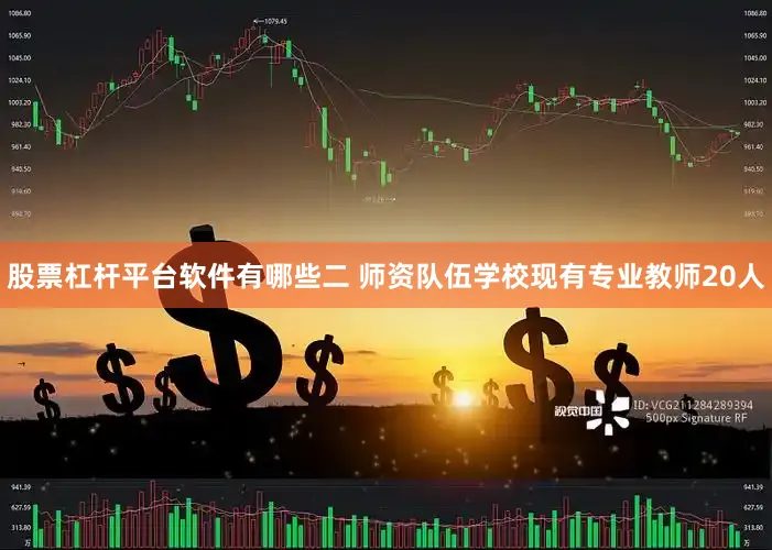 股票杠杆平台软件有哪些二 师资队伍学校现有专业教师20人