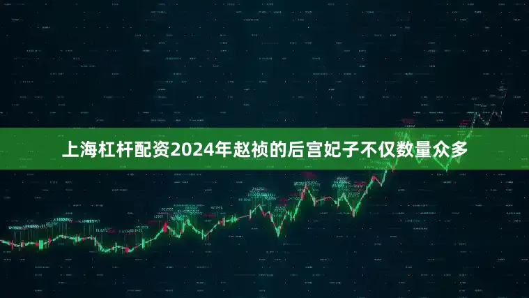 上海杠杆配资2024年赵祯的后宫妃子不仅数量众多